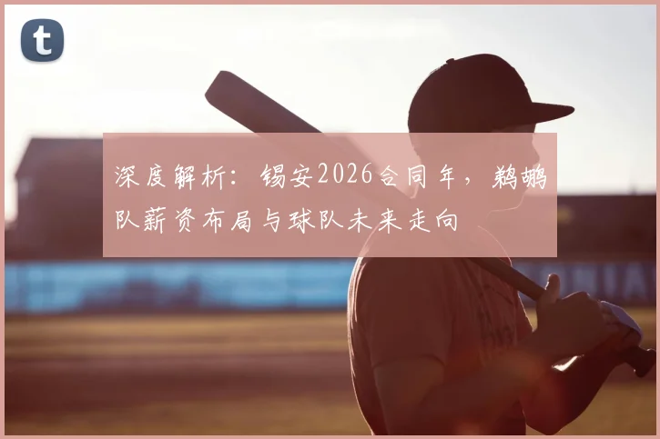 深度解析:锡安2026合同年,鹈鹕队薪资布局与球队未来走向