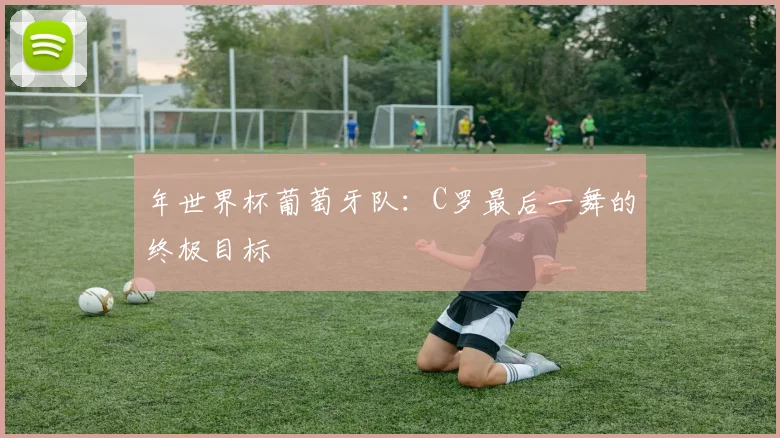 年世界杯葡萄牙队：C罗最后一舞的终极目标
